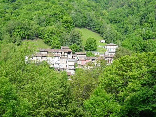 Panorama di Saina